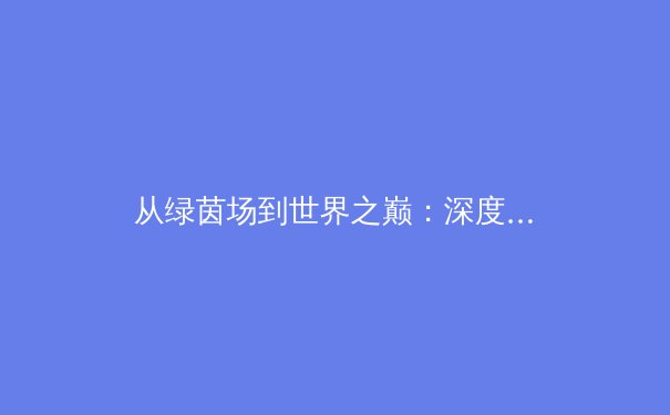 从绿茵场到世界之巅：深度剖析中国足球青训体系的变革与未来 - 3